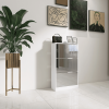 High Quality Particle Board + Real Glass Mirror 3 Rotating Drawers Mirror Door Shoe cabinet Shoe store With Mirror